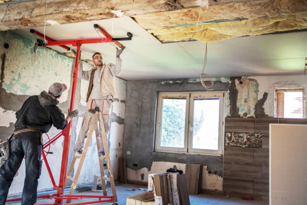 Best Cellulose Insulation in Lawai, HI
