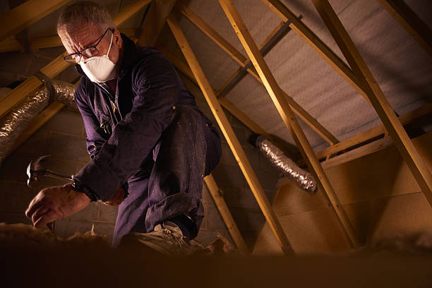 Best Spray Foam Insulation in Lawai, HI