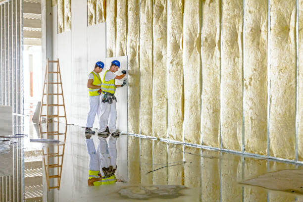 Types of Insulation We Offer in Lawai, HI